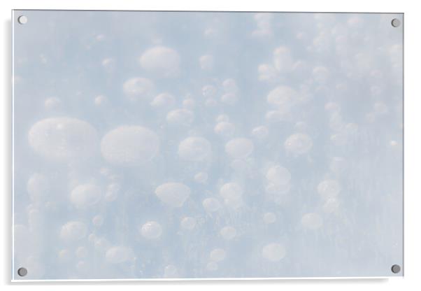 Ice Bubbles Acrylic by Alex Fukuda
