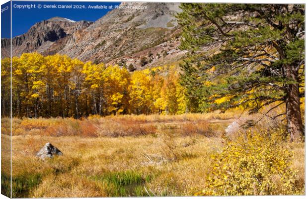 Lundy Canyon, Sierra Nevada Canvas Print by Derek Daniel