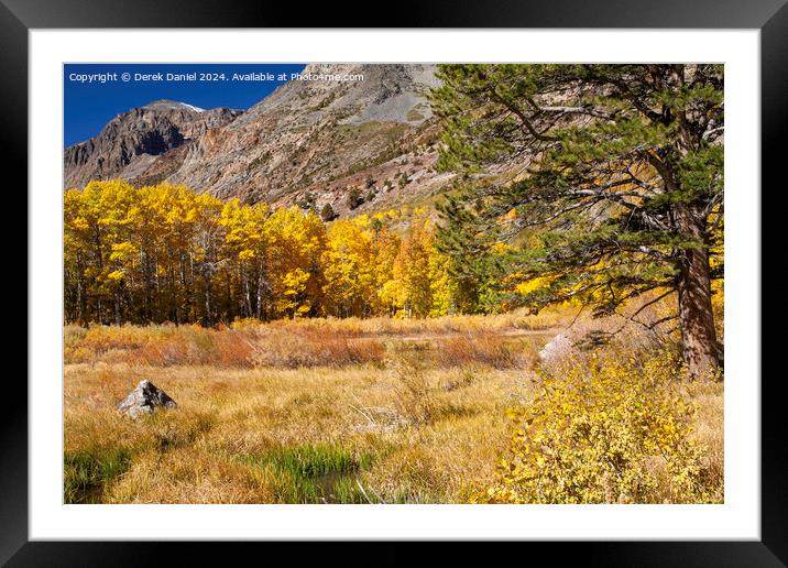 Lundy Canyon, Sierra Nevada Framed Mounted Print by Derek Daniel