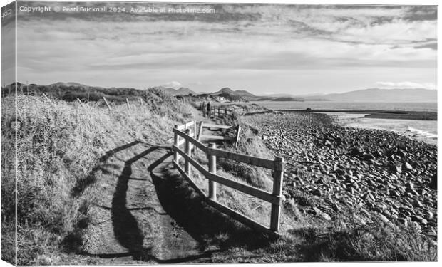 Wales Coastal Path Llyn Peninsula black and white Canvas Print by Pearl Bucknall