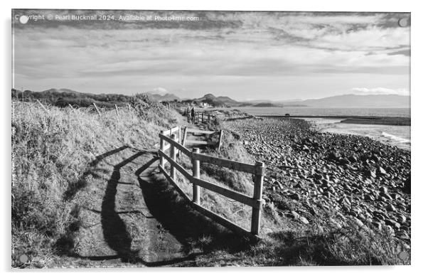 Wales Coastal Path Llyn Peninsula black and white Acrylic by Pearl Bucknall