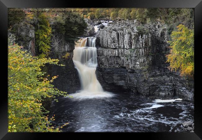 High Force Waterfall in Autumn, Teesdale, County,  Framed Print by David Forster