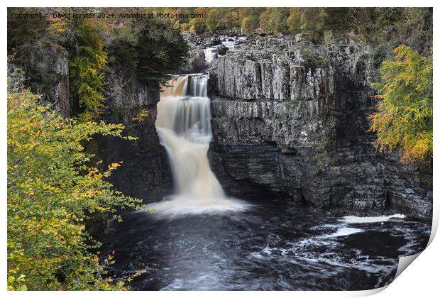 High Force Waterfall in Autumn, Teesdale, County,  Print by David Forster