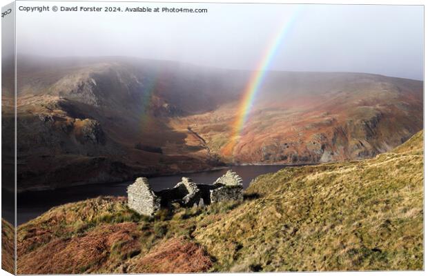 Haweswater Rainbow, Lake District, Cumbria, UK Canvas Print by David Forster
