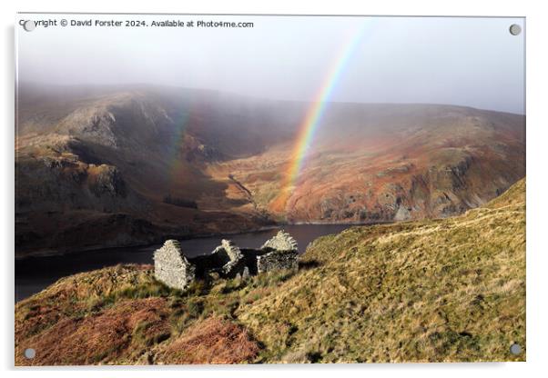 Haweswater Rainbow, Lake District, Cumbria, UK Acrylic by David Forster