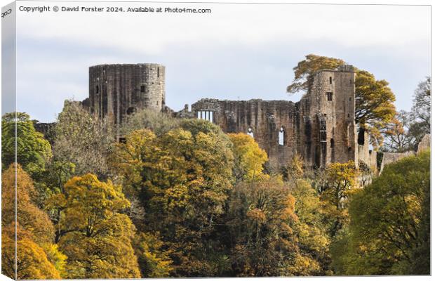 The Historic Castle of Barnard Castle in Autumn, C Canvas Print by David Forster