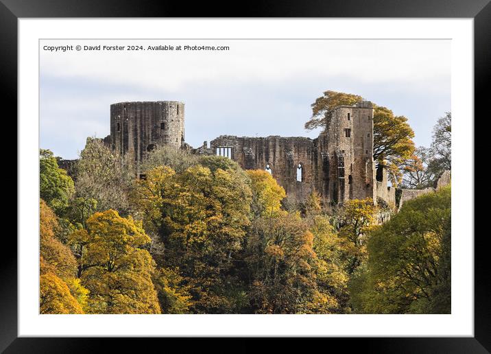 The Historic Castle of Barnard Castle in Autumn, C Framed Mounted Print by David Forster