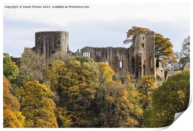 The Historic Castle of Barnard Castle in Autumn, C Print by David Forster