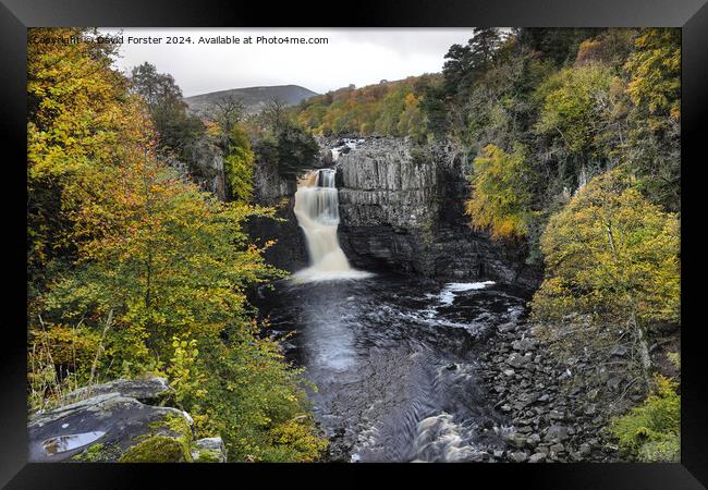 High Force Waterfall in Autumn, Teesdale, County, Durham, UK. Framed Print by David Forster