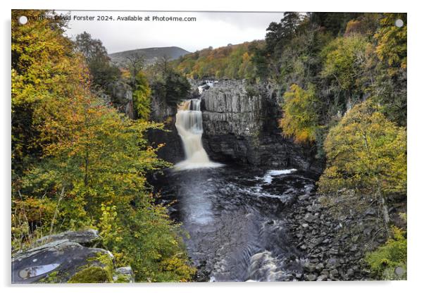 High Force Waterfall in Autumn, Teesdale, County, Durham, UK. Acrylic by David Forster