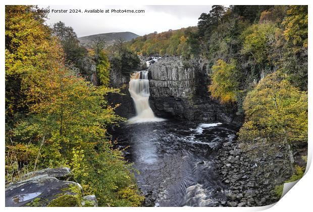 High Force Waterfall in Autumn, Teesdale, County, Durham, UK. Print by David Forster