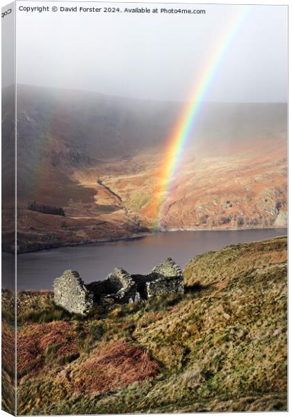 Rainbow Arching over Haweswater, Lake District, Cumbria, UK  Canvas Print by David Forster