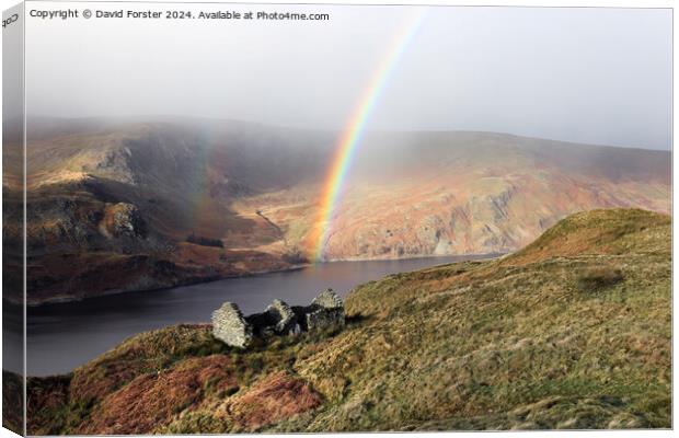 Rainbow Arching over Haweswater, Lakes District, Cumbria, UK Canvas Print by David Forster