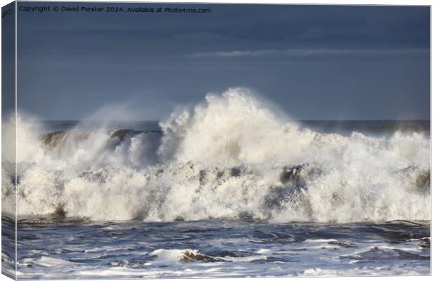 Stormy seas in the wake of Storm Henk, Seaham, Cou Canvas Print by David Forster