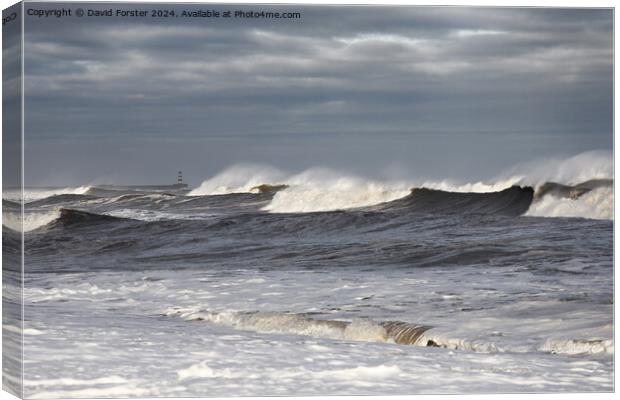 Stormy Seas, Seaham, County Durham, UK Canvas Print by David Forster
