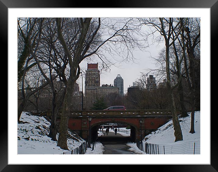 NEW YORK CENTRAL PARK Framed Mounted Print by radoslav rundic