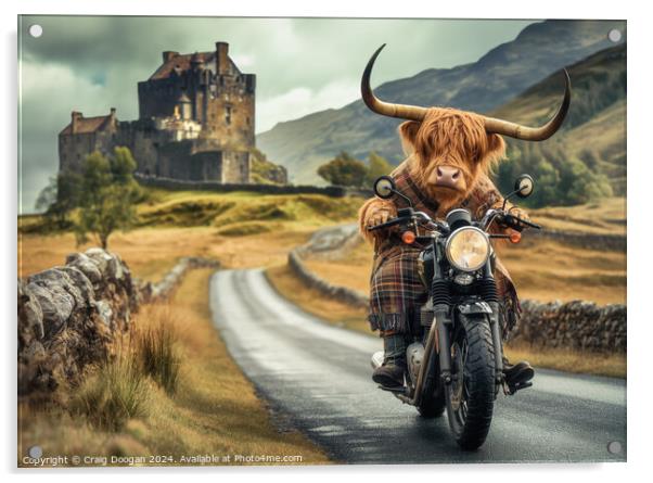 Highland Cow Road Trip Acrylic by Craig Doogan