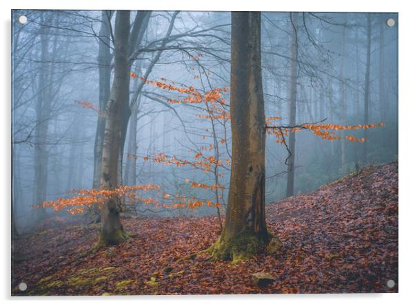 Woodland Misty Scene Acrylic by Tim Gamble