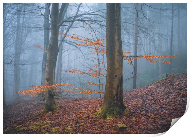 Woodland Misty Scene Print by Tim Gamble