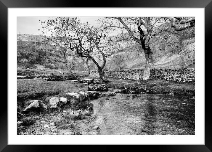  Malham Beck at Malham Cove Framed Mounted Print by Diana Mower
