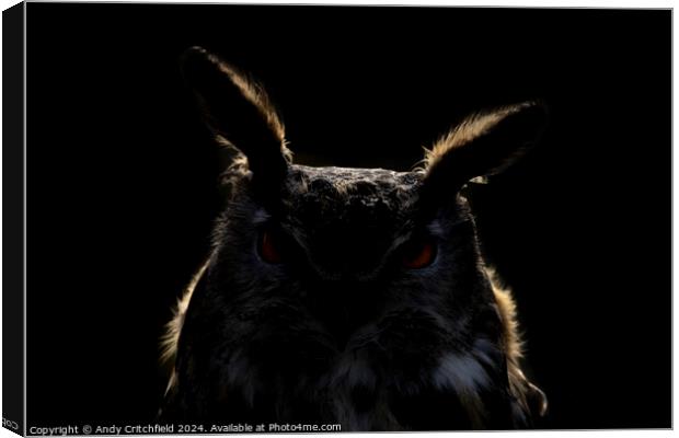 An Eagle Owl looking at the camera Canvas Print by Andy Critchfield