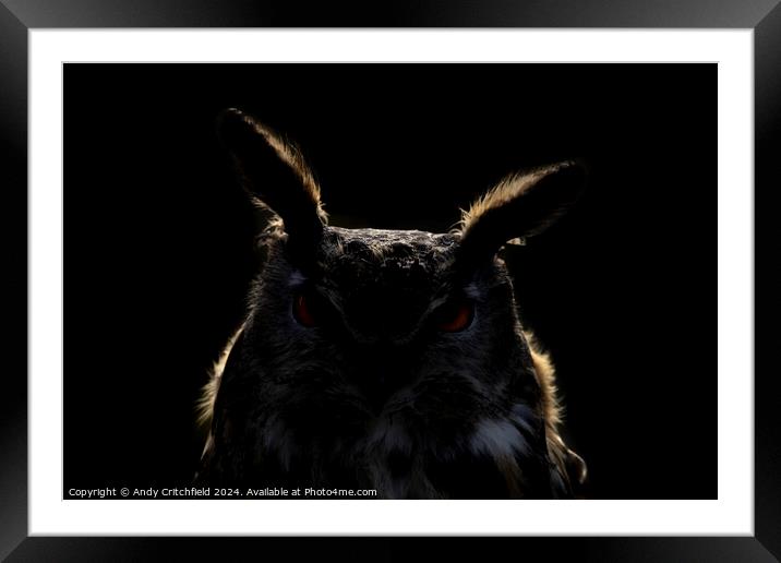 An Eagle Owl looking at the camera Framed Mounted Print by Andy Critchfield