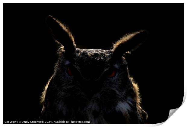 An Eagle Owl looking at the camera Print by Andy Critchfield