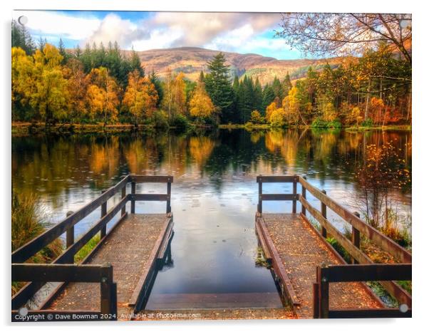 Autumn in Glencoe Lochan Acrylic by Dave Bowman