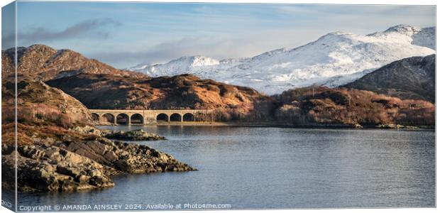 Loch nan Uamh Viaduct  near Loch Ailort Canvas Print by AMANDA AINSLEY