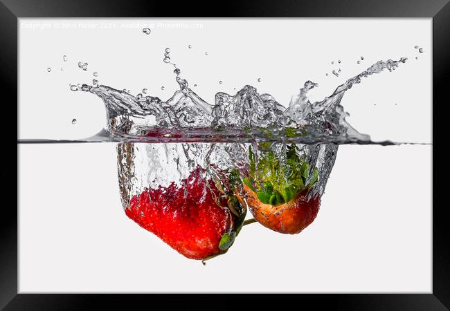Splash Strawberries Framed Print by John Parker
