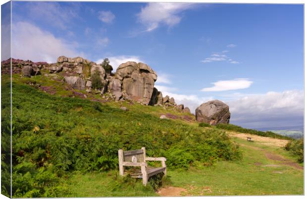 Cow and Calf Ilkley Moor Canvas Print by Alison Chambers