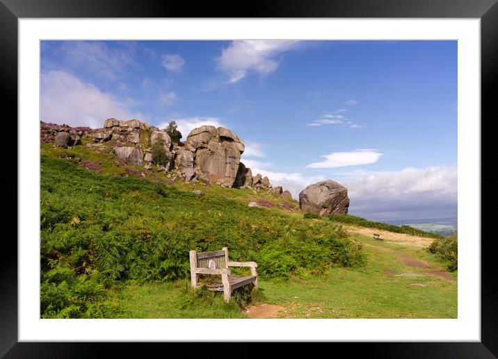 Cow and Calf Ilkley Moor Framed Mounted Print by Alison Chambers