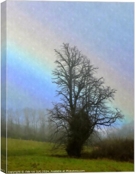 TREE IN THE RAIN Canvas Print by dale rys (LP)