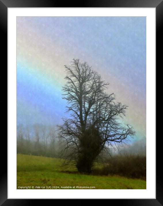 TREE IN THE RAIN Framed Mounted Print by dale rys (LP)