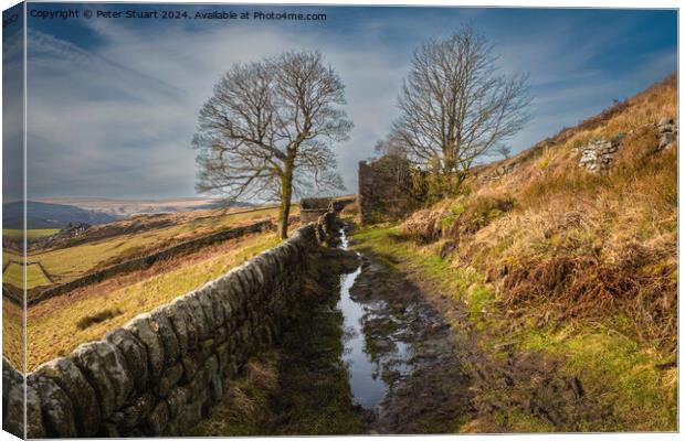 Abandoned stone farmhouse on the Calderdale Way Canvas Print by Peter Stuart