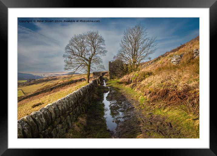 Abandoned stone farmhouse on the Calderdale Way Framed Mounted Print by Peter Stuart