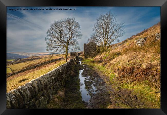 Abandoned stone farmhouse on the Calderdale Way Framed Print by Peter Stuart