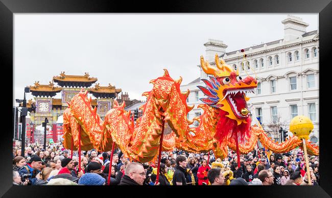 Dragon dance in Liverpool Framed Print by Jason Wells