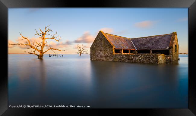 Porlock Marsh Framed Print by Nigel Wilkins