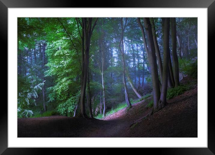The road through the mystic forest Framed Mounted Print by Dejan Travica