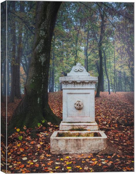The old marble fountain in the forest on Oplenac hill in Serbia  Canvas Print by Dejan Travica