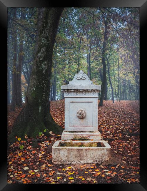 The old marble fountain in the forest on Oplenac hill in Serbia  Framed Print by Dejan Travica