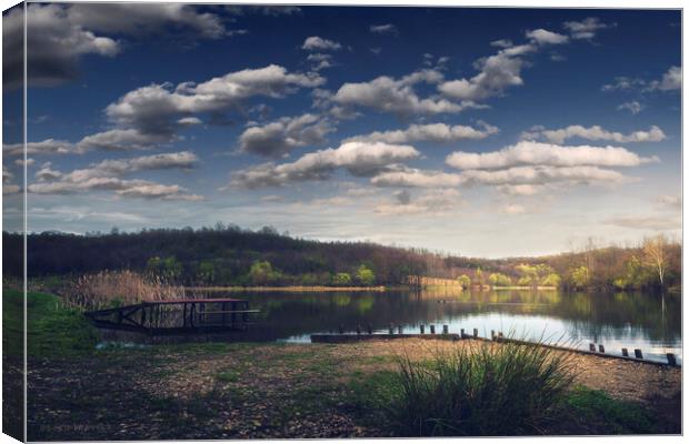The small lake in early spring. Sumadija, Serbia. Canvas Print by Dejan Travica