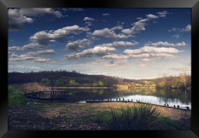 The small lake in early spring. Sumadija, Serbia. Framed Print by Dejan Travica