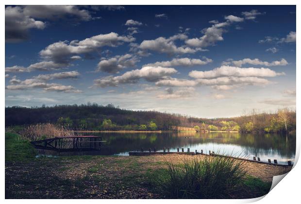The small lake in early spring. Sumadija, Serbia. Print by Dejan Travica