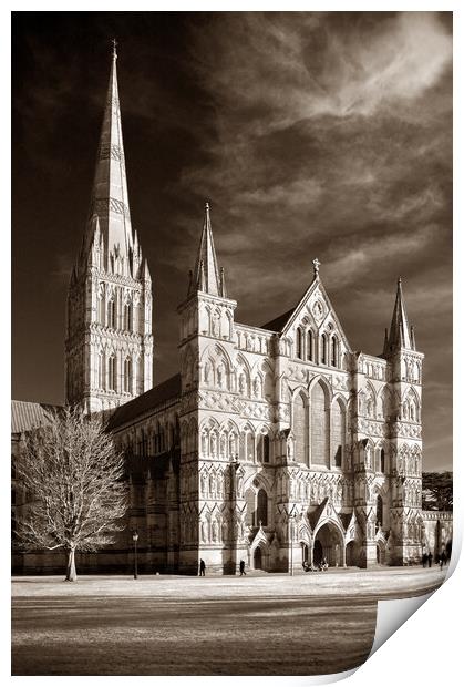 Salisbury Cathedral Print by Darren Galpin
