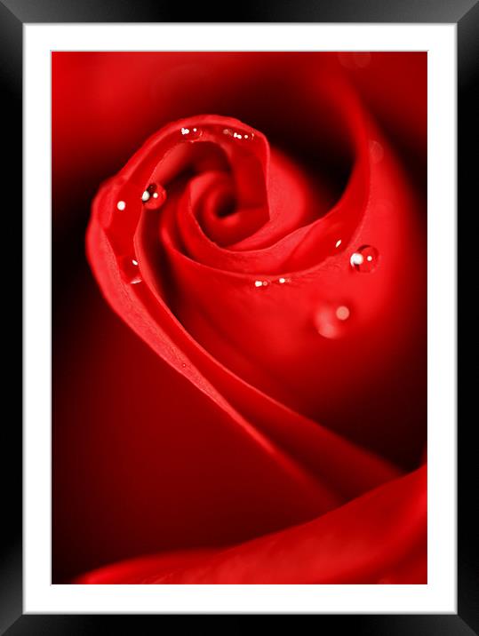Red Swirl Framed Mounted Print by Sharon Johnstone