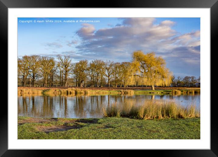 Bright sunny February morning at Bushy Park Framed Mounted Print by Kevin White