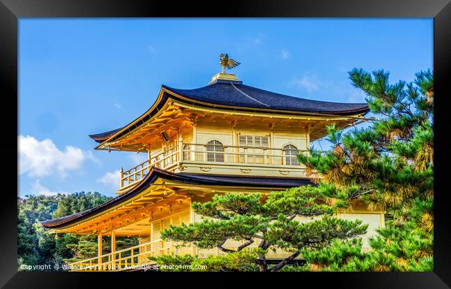 Kinkaku-Ji Golden Pavilion Buddhist Temple Kyoto Japan Framed Print by William Perry