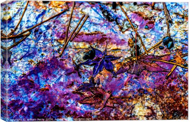 Colorful Stone Walkway Fall Leaves Kinkaku-Ji Golden Temple Kyot Canvas Print by William Perry